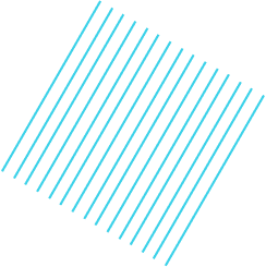 Biinary Fusion