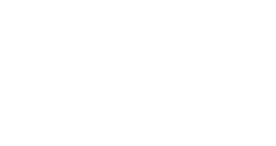 Biinary Fusion