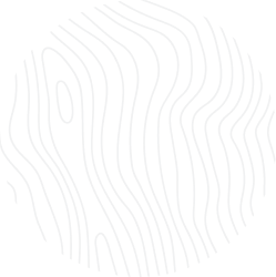 Biinary Fusion
